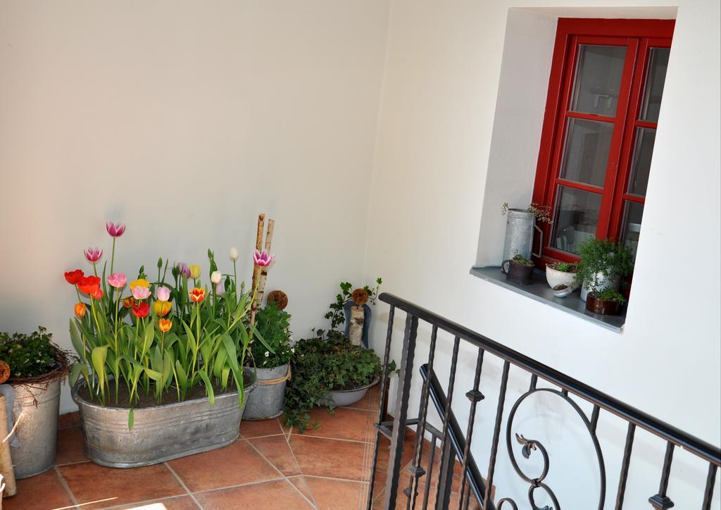 Sušice Apartmany U Vavrince מראה חיצוני תמונה